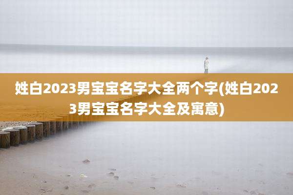 姓白2023男宝宝名字大全两个字(姓白2023男宝宝名字大全及寓意)