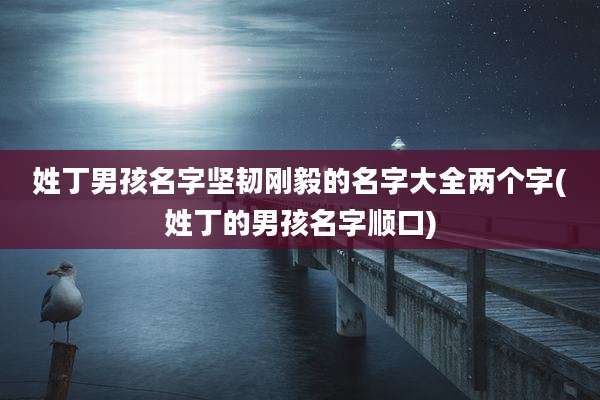 姓丁男孩名字坚韧刚毅的名字大全两个字(姓丁的男孩名字顺口)