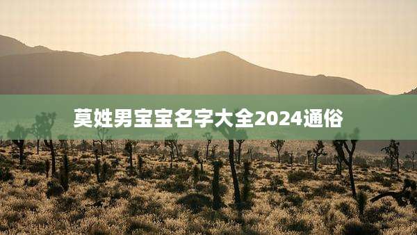 莫姓男宝宝名字大全2024通俗