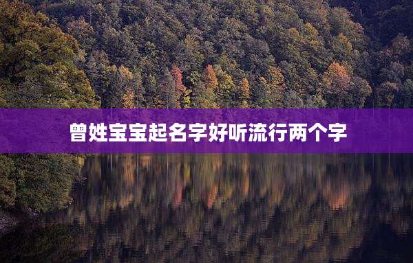 曾姓宝宝起名字好听流行两个字