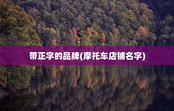 带正字的品牌(摩托车店铺名字)