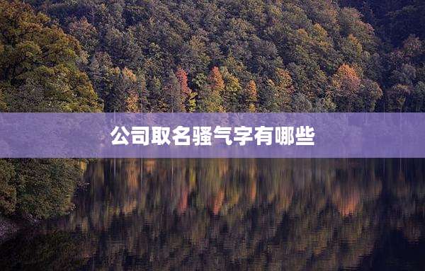 公司取名骚气字有哪些