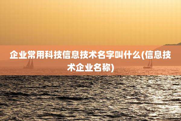 企业常用科技信息技术名字叫什么(信息技术企业名称)