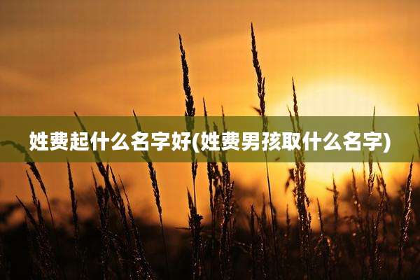 姓费起什么名字好(姓费男孩取什么名字)