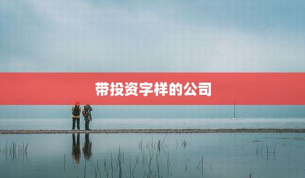 带投资字样的公司