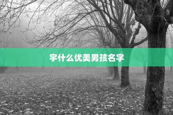 宇什么优美男孩名字