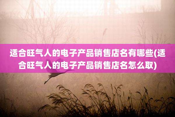 适合旺气人的电子产品销售店名有哪些(适合旺气人的电子产品销售店名怎么取)