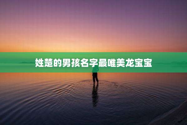 姓楚的男孩名字最唯美龙宝宝