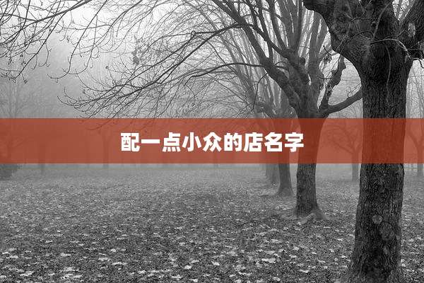 配一点小众的店名字