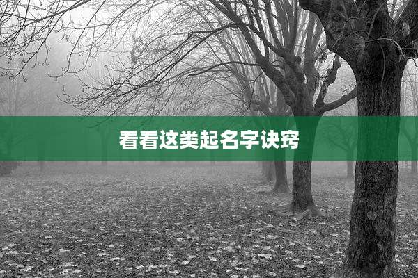 看看这类起名字诀窍