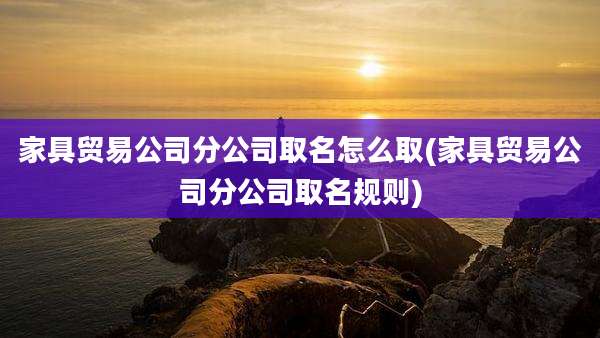 家具贸易公司分公司取名怎么取(家具贸易公司分公司取名规则)