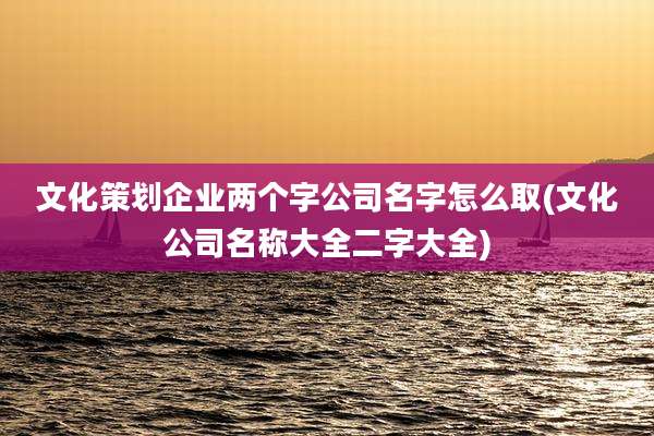文化策划企业两个字公司名字怎么取(文化公司名称大全二字大全)