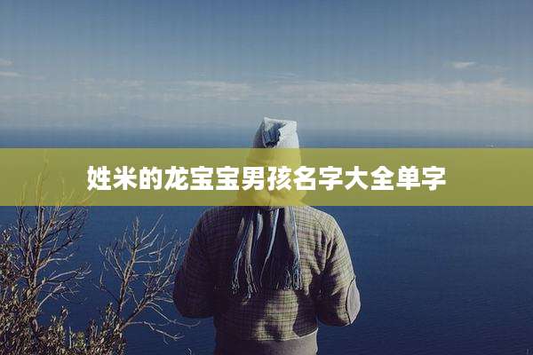 姓米的龙宝宝男孩名字大全单字