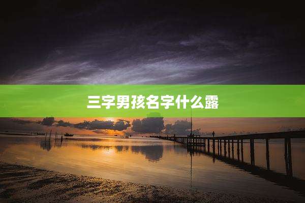 三字男孩名字什么露