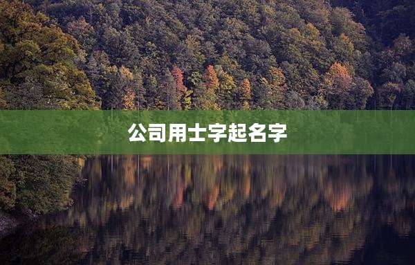 公司用士字起名字