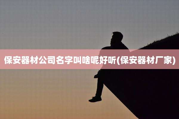 保安器材公司名字叫啥呢好听(保安器材厂家)