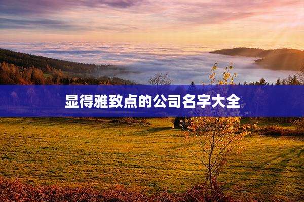 显得雅致点的公司名字大全