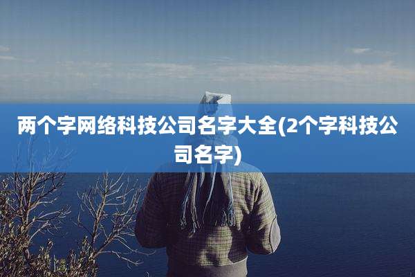 两个字网络科技公司名字大全(2个字科技公司名字)