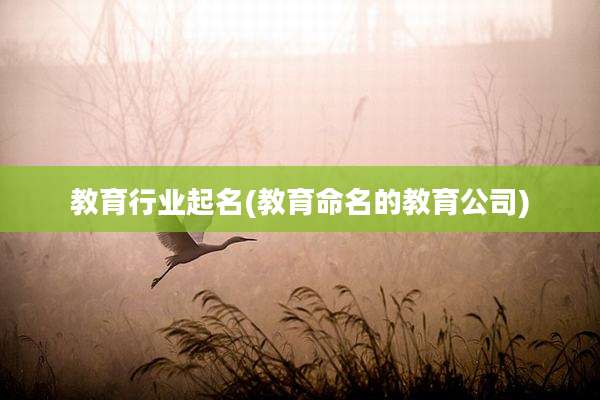 教育行业起名(教育命名的教育公司)
