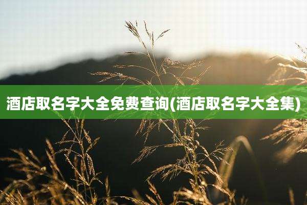 酒店取名字大全免费查询(酒店取名字大全集)