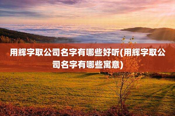 用辉字取公司名字有哪些好听(用辉字取公司名字有哪些寓意)