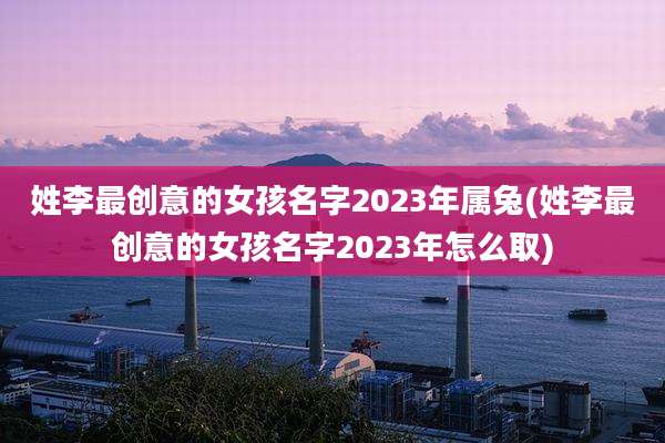 姓李最创意的女孩名字2023年属兔(姓李最创意的女孩名字2023年怎么取)