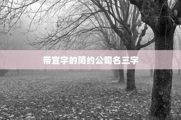 带宜字的简约公司名三字