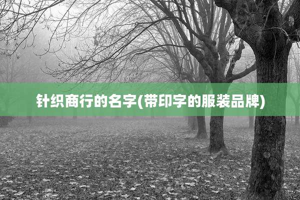 针织商行的名字(带印字的服装品牌)