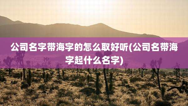 公司名字带海字的怎么取好听(公司名带海字起什么名字)