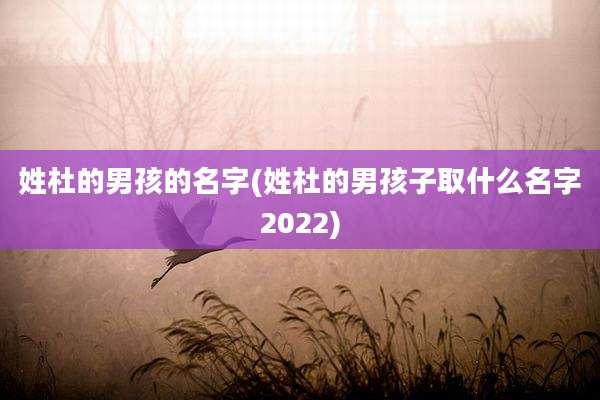 姓杜的男孩的名字(姓杜的男孩子取什么名字2022)