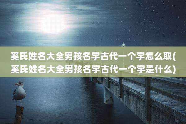 奚氏姓名大全男孩名字古代一个字怎么取(奚氏姓名大全男孩名字古代一个字是什么)