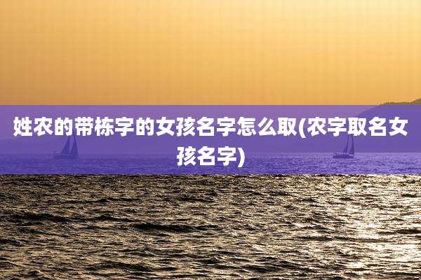 姓农的带栋字的女孩名字怎么取(农字取名女孩名字)