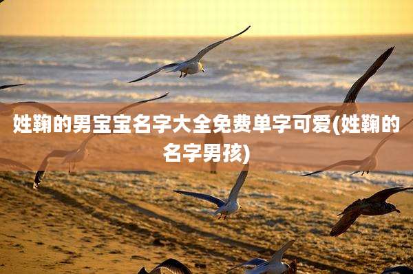 姓鞠的男宝宝名字大全免费单字可爱(姓鞠的名字男孩)