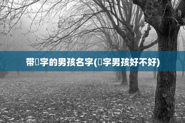带瑄字的男孩名字(瑄字男孩好不好)