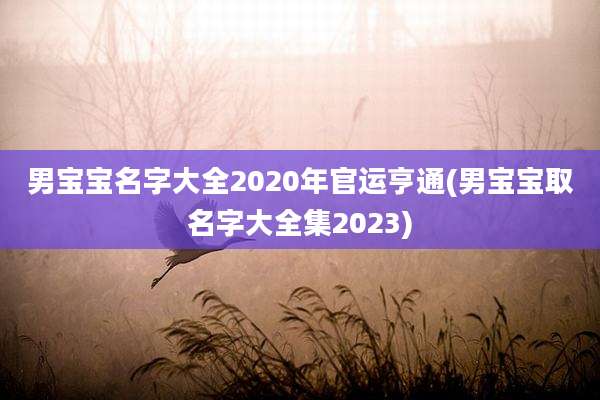 男宝宝名字大全2020年官运亨通(男宝宝取名字大全集2023)