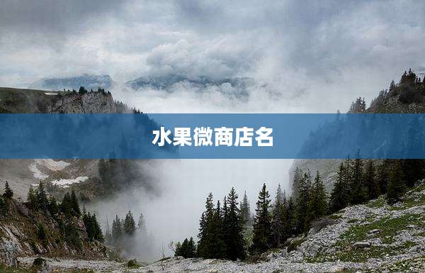 水果微商店名