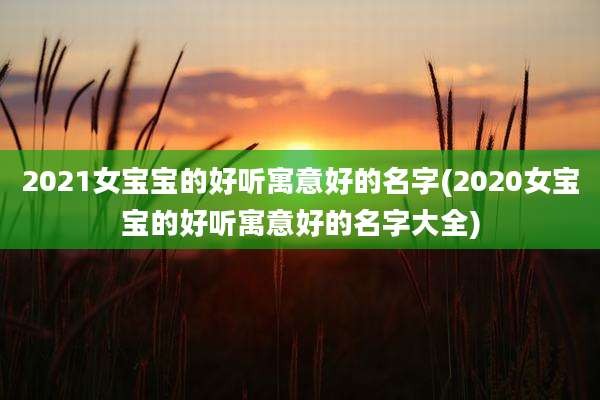 2021女宝宝的好听寓意好的名字(2020女宝宝的好听寓意好的名字大全)
