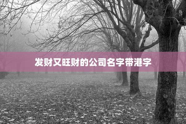 发财又旺财的公司名字带港字