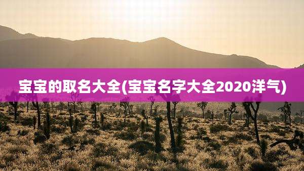 宝宝的取名大全(宝宝名字大全2020洋气)