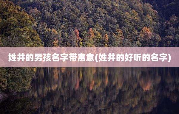 姓井的男孩名字带寓意(姓井的好听的名字)