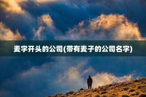 麦字开头的公司(带有麦子的公司名字)