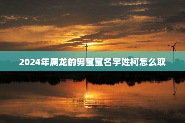 2024年属龙的男宝宝名字姓柯怎么取