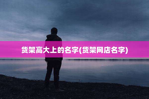 货架高大上的名字(货架网店名字)