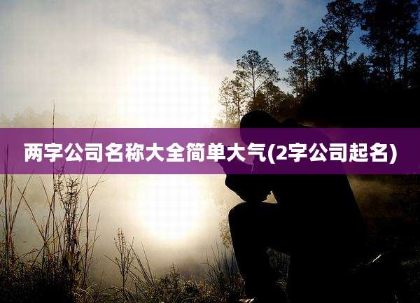 两字公司名称大全简单大气(2字公司起名)