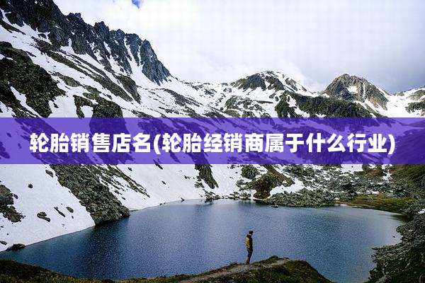 轮胎销售店名(轮胎经销商属于什么行业)