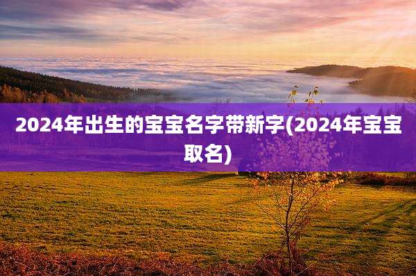 2024年出生的宝宝名字带新字(2024年宝宝取名)