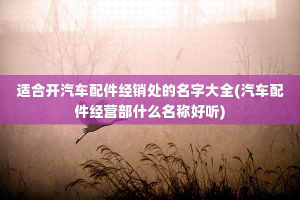 适合开汽车配件经销处的名字大全(汽车配件经营部什么名称好听)