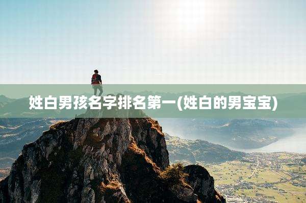 姓白男孩名字排名第一(姓白的男宝宝)