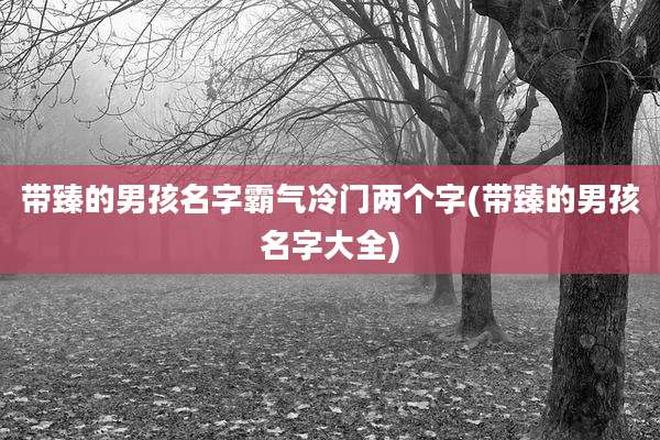 带臻的男孩名字霸气冷门两个字(带臻的男孩名字大全)