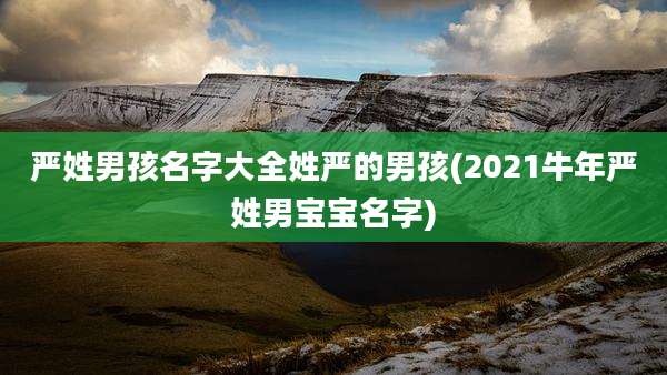 严姓男孩名字大全姓严的男孩(2021牛年严姓男宝宝名字)